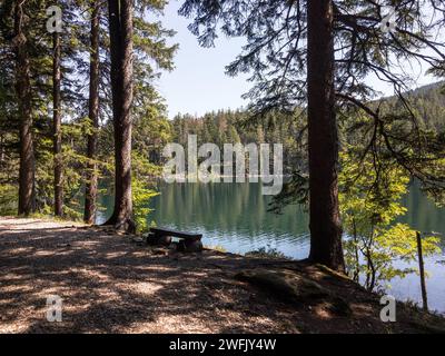 Cerne jezero (Black lake) in Sumava mountains in Czech Republic, EU Stock Photo