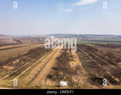 Landscape of vineyards in Southern Moravia near Velke Pavlovice, Czech Republic Stock Photo