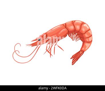 Cartoon seafood, shrimp or prawn for sea food cuisine or restaurant, isolated vector. Whole raw prawn or shrimp for seafood cuisine cooking ingredient or sushi bar menu and fish market food product Stock Vector