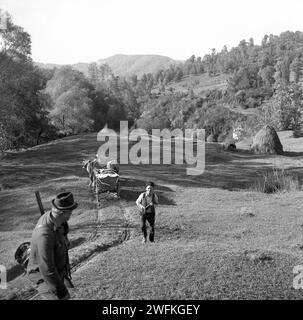 Vrancea County, Socialist Republic of Romania, approx. 1976. Farmers on a dirt path with a cattle drawn cart. Stock Photo