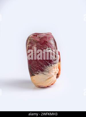 Raw beef heart on a white background, close-up Stock Photo