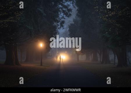 Blurred silhouette of people illuminated by bright lights, that walks in fog on road surrounded by trees and street lamps, Phoenix Park Dublin Ireland Stock Photo