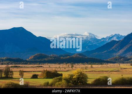 Murnau am Staffelsee: bog Murnauer Moos at sunrise, Alps in Oberbayern, Pfaffenwinkel, Upper Bavaria, Bayern, Bavaria, Germany Stock Photo