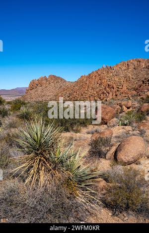 View of rocks along the trail to the Balanced Rock formation. Big Bend National Park, Texas, USA. Stock Photo