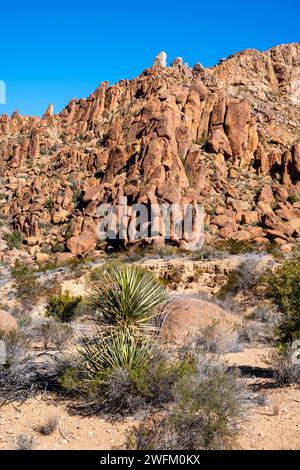 View of rocks along the trail to the Balanced Rock formation. Big Bend National Park, Texas, USA. Stock Photo