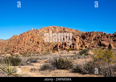 View of rocks along the trail to the Balanced Rock formation. Big Bend National Park, Texas, USA. Stock Photo