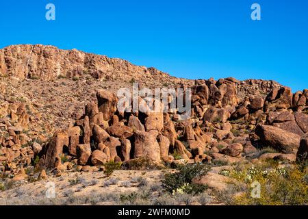 View of rocks along the trail to the Balanced Rock formation. Big Bend National Park, Texas, USA. Stock Photo