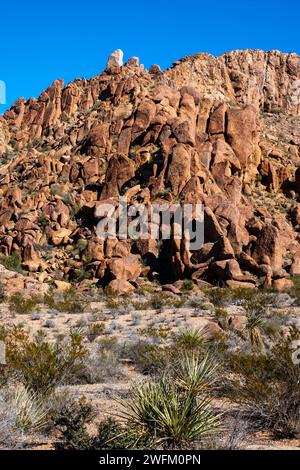 View of rocks along the trail to the Balanced Rock formation. Big Bend National Park, Texas, USA. Stock Photo