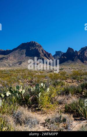 View of the Chisos Mountains and The Window from along the Ross Maxwell Scenic Drive.  Big Bend National Park, Texas, USA. Stock Photo
