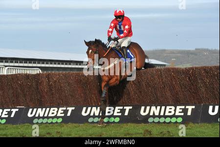 Race 5 2.25 My Pension Expert Clarence House Steeple Chase.   Editeur Du Gite ridden by Niall Houlihan jumping the last.    Horse racing at Cheltenham Stock Photo