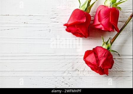 close up of three red roses buds on white wooden  background, top view Stock Photo
