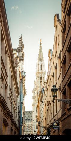 tops of facades of old buildings near Brussels Town Hall. Narrow street Rue des Harengs in old town of Brussels at sunset. Photo in warm brown tones. Stock Photo