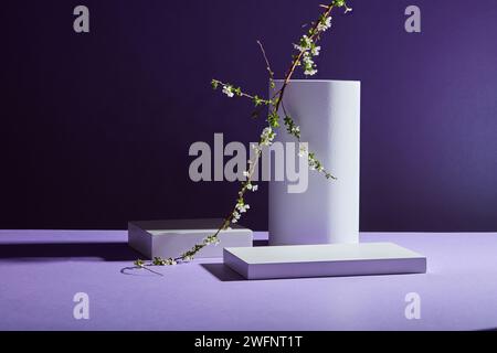 Cylinder podium and rectangle podiums in white displayed on blue background with flower branch. Empty space to add text or product Stock Photo