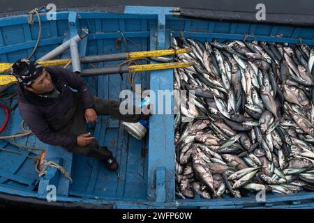 Tongoy, Coquimbo, Chile. 31st Jan, 2024. A fisherman returns to the dock in the morning after working all night at sea in Tongoy, Chile. (Credit Image: © Matias Basualdo/ZUMA Press Wire) EDITORIAL USAGE ONLY! Not for Commercial USAGE! Stock Photo