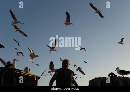 Tongoy, Coquimbo, Chile. 31st Jan, 2024. A fisherman cleans his workplace at the dock in Tongoy, Chile. (Credit Image: © Matias Basualdo/ZUMA Press Wire) EDITORIAL USAGE ONLY! Not for Commercial USAGE! Stock Photo