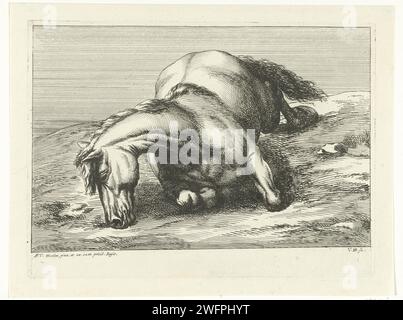 Killed horse lying on the right side, Jan van Huchtenburg, After Adam Frans van der Meulen, 1674 - 1733 print Seen on the right -hand horse from the front. unknown paper engraving horse (+ dying animal; death of animal; dead animal) Stock Photo