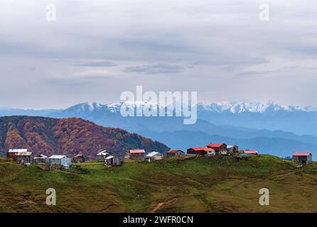 Plateau houses on the hills of Artvin Borcka Karagöl. Snowy mountains in the background. Autumn colors on the trees. Cloudy sky. Stock Photo