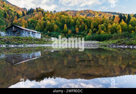 Trees and wooden houses around Borcka Karagöl in autumn. The combination of yellow, orange, green and blue in nature. Suitable for nature and holiday Stock Photo
