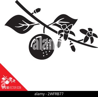 orange tree twig with fruit and flowers vector glyph icon for Orange Blossom Day on June 27 Stock Vector