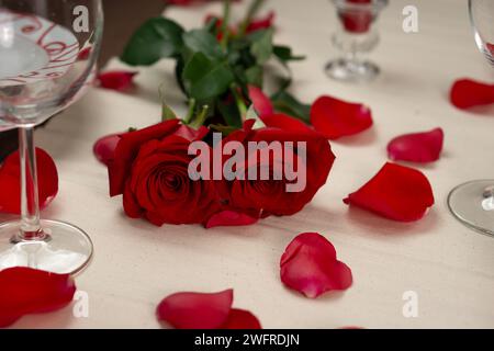 Set of two  roses laying on a white tablecloth, surrounded by red roses' petlas. On the table there are two wineglasses. Horizontal image Stock Photo