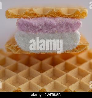 Pink and White Wafer Biscuit Stock Photo