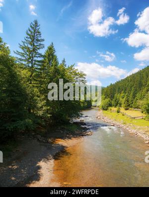 carpathian countryside scenery with river on a sunny day in summer. trees along the rocky shore and forest on the hill. mountainous landscape of ukrai Stock Photo