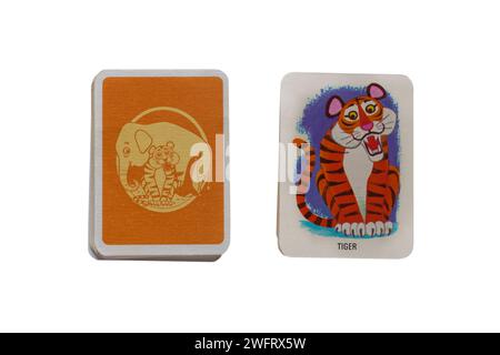 old retro Beggar my Neighbour playing cards Tiger isolated on white background - UK Stock Photo