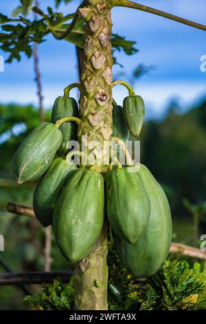 Views of Mabini, Batangas Stock Photo