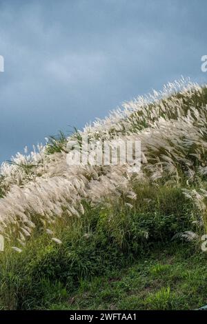 Views of Mabini, Batangas Stock Photo