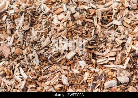 The texture of cut pieces of wood in the garden. Stock Photo