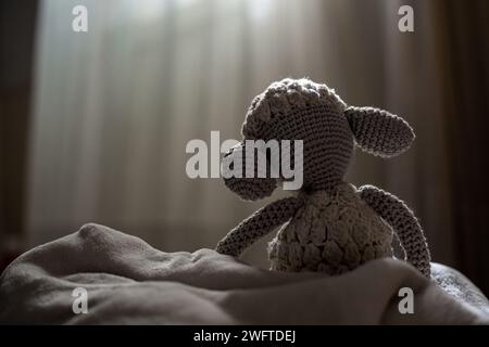 Lonely sheep in dimly lit room with sunlight streaming through window Stock Photo