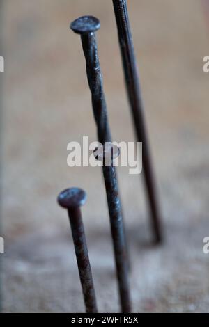 Group of rusty nails nailed into a wooden board in a line Stock Photo