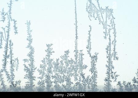 Ice crystals on a glass window Stock Photo