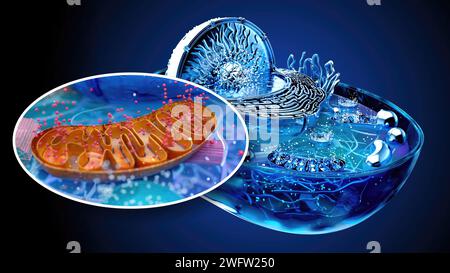 4K abstract illustration of the biological cell and the mitochondria Stock Photo