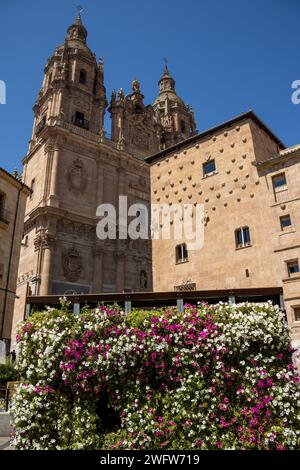 Casa de las conchas y Universidad Pontificia de Salamanca con un jardín de flores vertical en primer plano, España Stock Photo