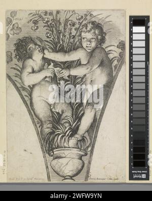 Two putti, fighting for a bird, at a plant in pot, Pietro Antonio Cotta, After Guido Reni, 1675 - 1685 print  Italy paper etching cupids: 'amores', 'amoretti', 'putti'. potted plants Stock Photo