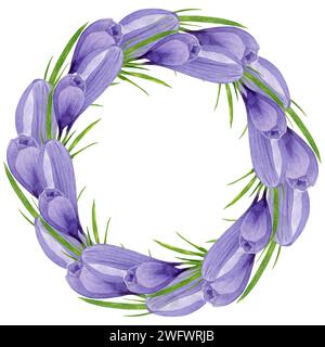 Purple crocuses wreath, spring flowers frame Hand painted watercolor floral illustration isolated on white background Design element for label, logo, Stock Photo