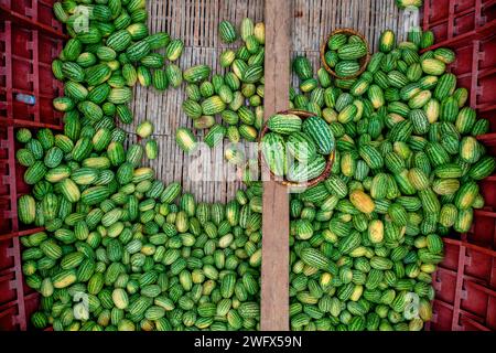 Aerial view of several small commercial boats with people unloading watermelons at Old Dhaka river port along Buriganga river in Dhaka, Bangladesh. Stock Photo