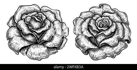 Rose bud with petals. Flower sketch. Hand drawn vintage vector illustration Stock Vector