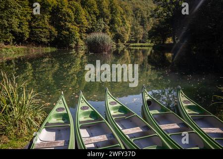 Picture of Jankovac pond in Papuk, Croatia. Papuk is the largest mountain in the Slavonia region in eastern Croatia, near the city of Požega. It exten Stock Photo