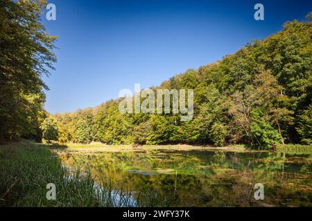 Picture of Jankovac pond in Papuk, Croatia. Papuk is the largest mountain in the Slavonia region in eastern Croatia, near the city of Požega. It exten Stock Photo