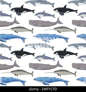 Seamless pattern with various whales. Hand-drawn detailed print. Vector illustration for design. Stock Vector