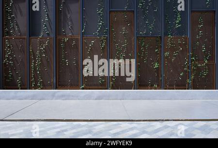 Empty floor with mesh wire and green ivy decorated background Stock Photo