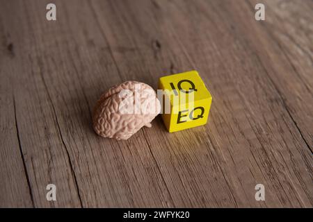 Human brain and wooden cube with word IQ and EQ. Copy space for text. Stock Photo