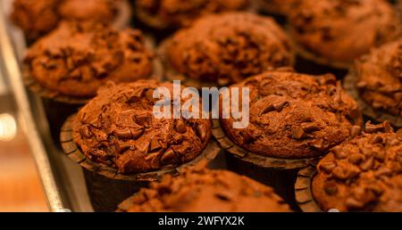 The delicious bread on wooden shelves, with exquisite shapes illuminated by warm lights Stock Photo