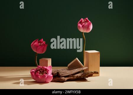 Front view of some lotus flowers (Nelumbo nucifera) standing beside wooden podiums and tree branch. Concept of minimalism Stock Photo