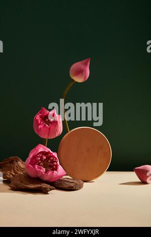 In the dark green background, lotus blooms (Nelumbo nucifera) and a lotus bub are adorned with a wooden circle podium Stock Photo