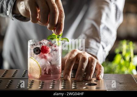 Professional barman decorated gin tonic cocktail drink and decorated it with mint herbs. Stock Photo