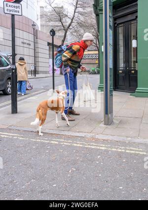 London, UK. Man with a dog looking at a tourist information map Stock Photo