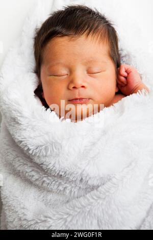 A 10 day old Japanese American infant sleeps in a white fuzzy blanket. Stock Photo